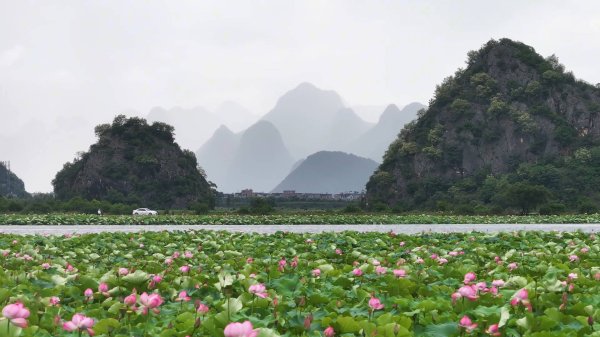 富豪优配 全球连线 | 巴西博主邂逅云南普者黑：美景动人 真情更暖