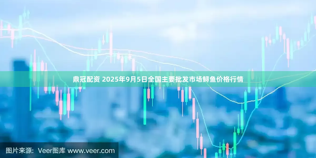 鼎冠配资 2025年9月5日全国主要批发市场鲟鱼价格行情