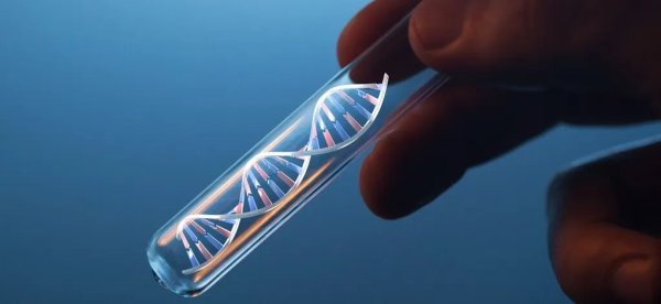 千层金 医生偷用自己的精子“助孕”，死后查出12个子女